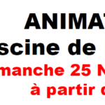 "ANIMATHLON" de l’École de Natation - 25 novembre 2018